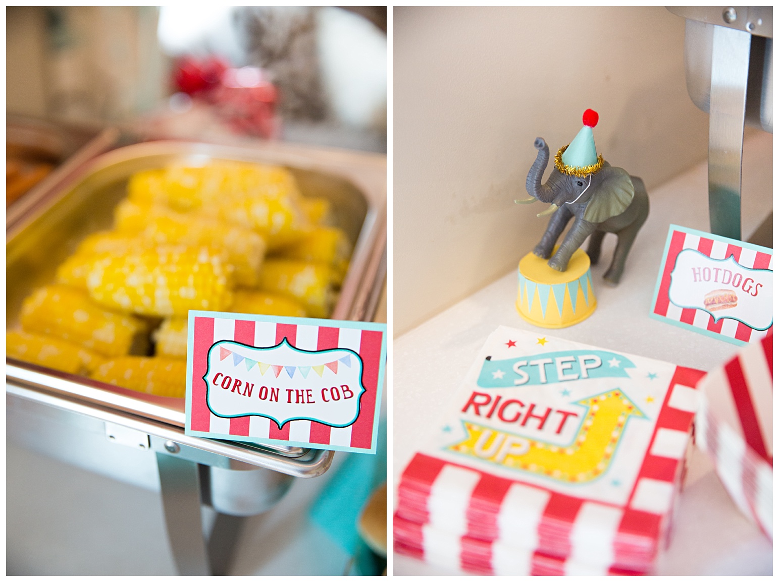 Aylah’s Circus Party | Moments on the Blog